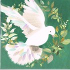 Cards - Christmas Pack Of 10: Dove