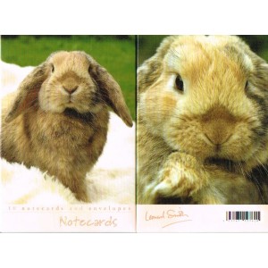 Notelets - Rabbits