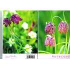 Notelets - Fritillara