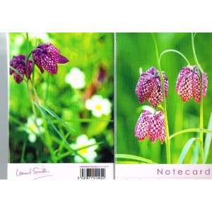 Notelets - Fritillara