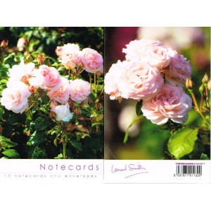 Notelets - Pink Roses