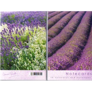 Notelets - Lavender