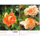 Notelets - Peach Roses