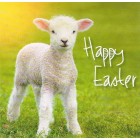 Cards - Easter Pack Of 5 identical