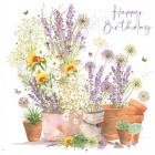 Card - Birthday