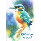 Card - Birthday