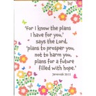 Card - Blank (For I Know The Plans....)