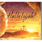 Cards - Easter Pack Of 5