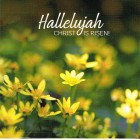 Cards - Easter Pack Of 5