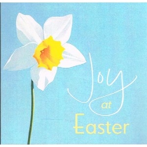 Cards - Easter Pack Of 5