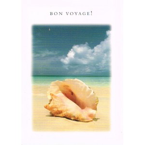 Card - Bon Voyage