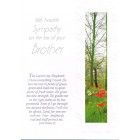 Card - Sympathy: Loss Of Brother